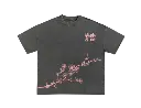 TRIAL_17_front-removebg-preview.webp
